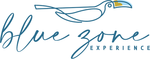 Bluezone Experience Logo