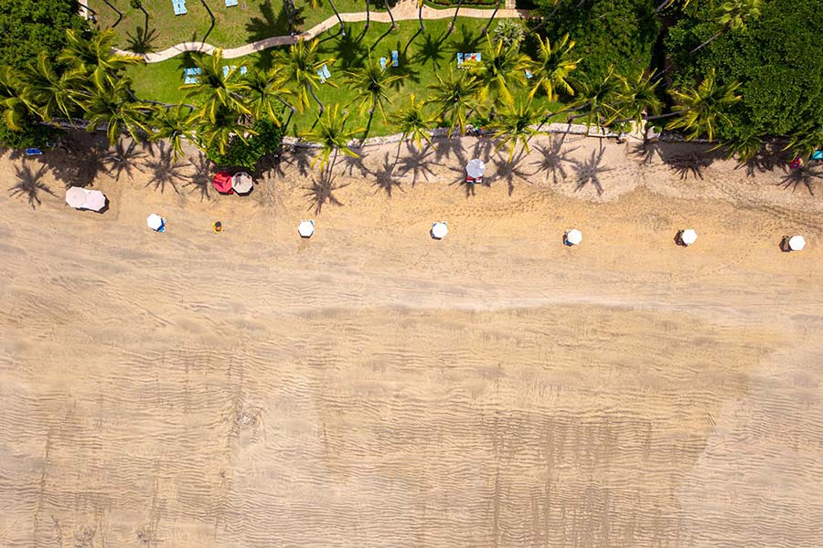 Green Season – International Offer