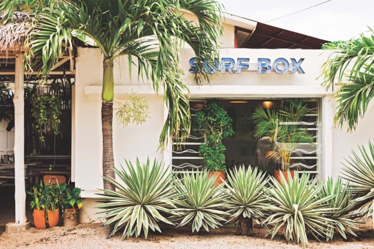 Playa Conchal restaurants Surf Box